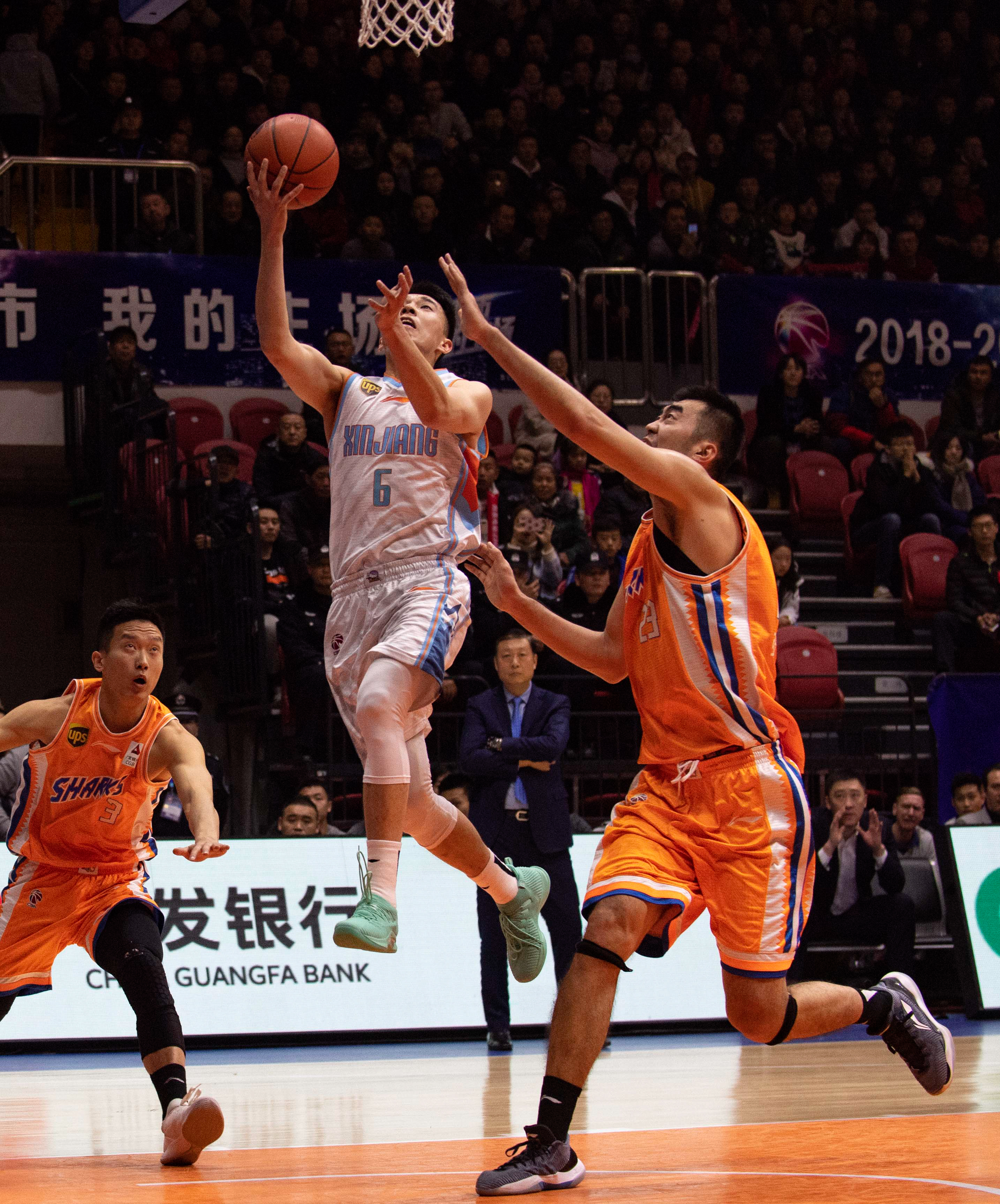 的双重出色 的双重出色